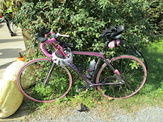 Diva Bike