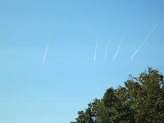 jets migrating together