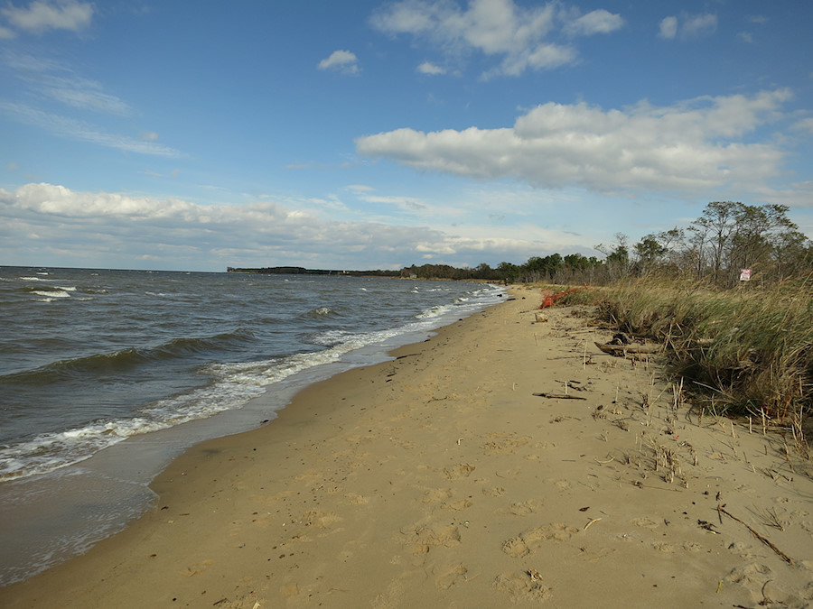 Terrapin beach