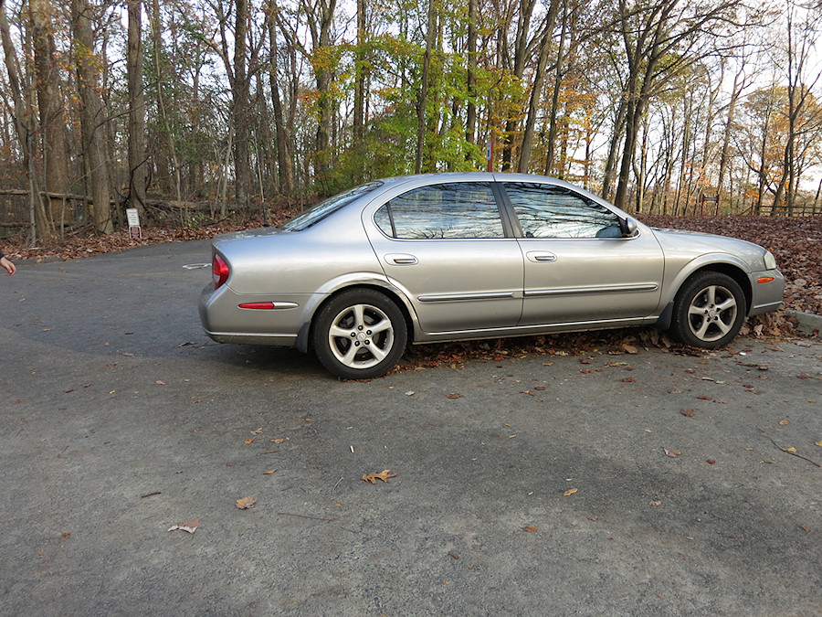 they came by and blew all of the leaves underneath my car while we were out on the rocks