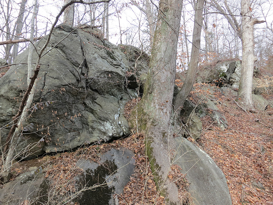 some rocks near Murrary Hill on a blustery day