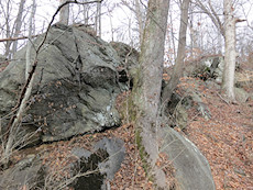 some rocks near Murrary Hill on a blustery day