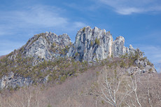 Seneca Rocks; climbers clearly present on Thais Corner, Front C, Prune, and Old Man's