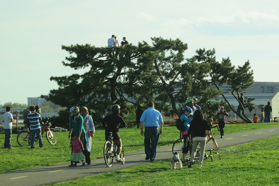 kids in the plane watching tree at Gravelley Point