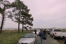 crowd at the Oyster Bay observation spot