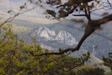 Seneca Rocks, looking west from the hills to the east