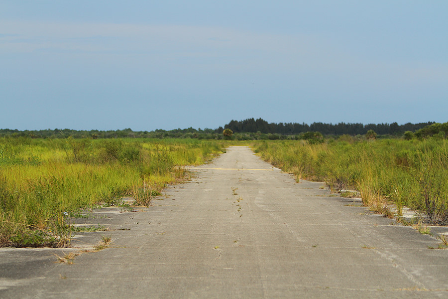 a typical view at the Compound