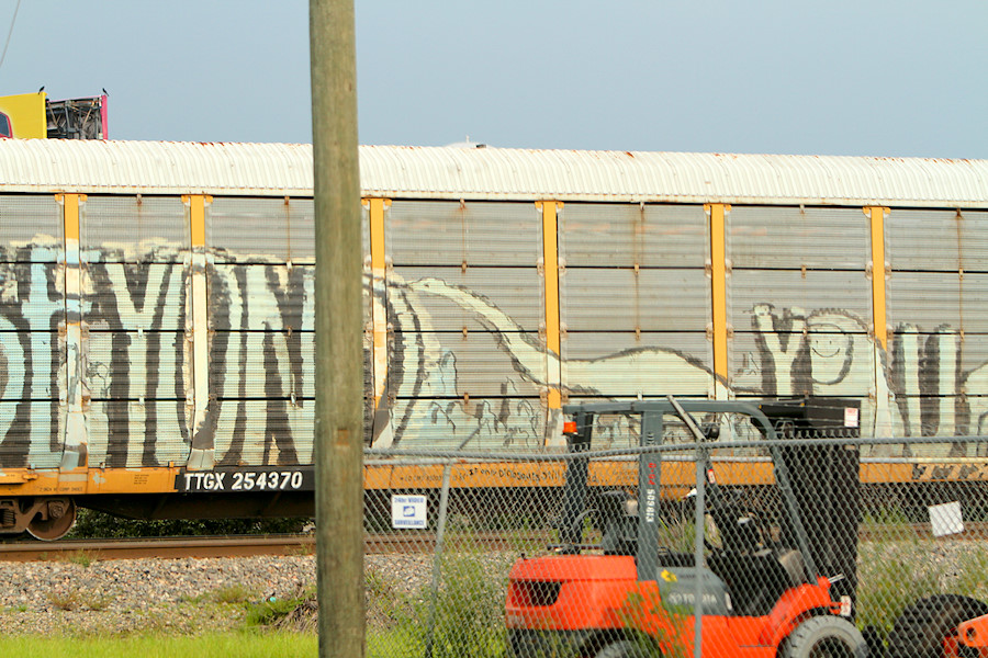 brontosaurus graffiti?