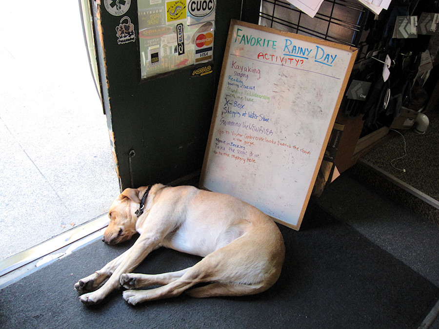 overworked dog at Waterstone Outdoors