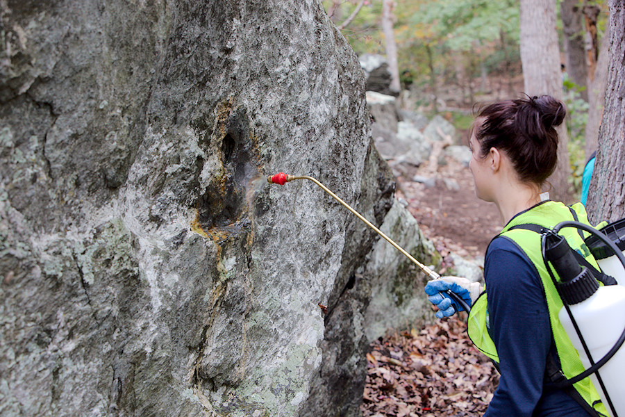 using a hand-pumped water dispenser