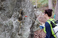 using a hand-pumped water dispenser