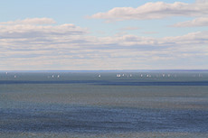 sailboat race in the Chesapeake Bay