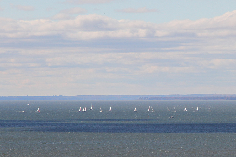 sailboat race