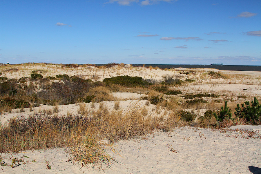 dunes at Comfort Point