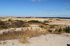 dunes at Comfort Point