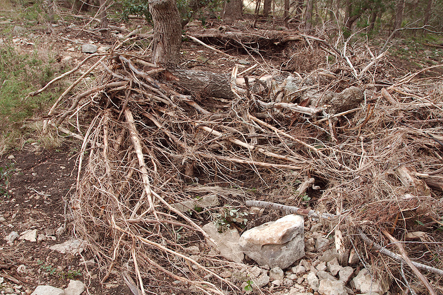 flood debris