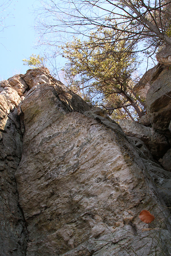 looking up at the crack Eliddia led