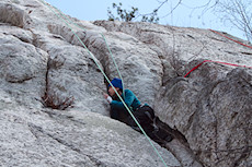 climber on Well Groomed when Pruned