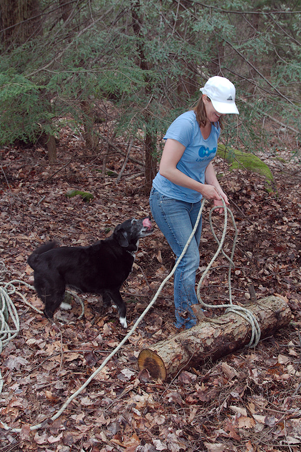 Magnet the dog supervises a volunteer