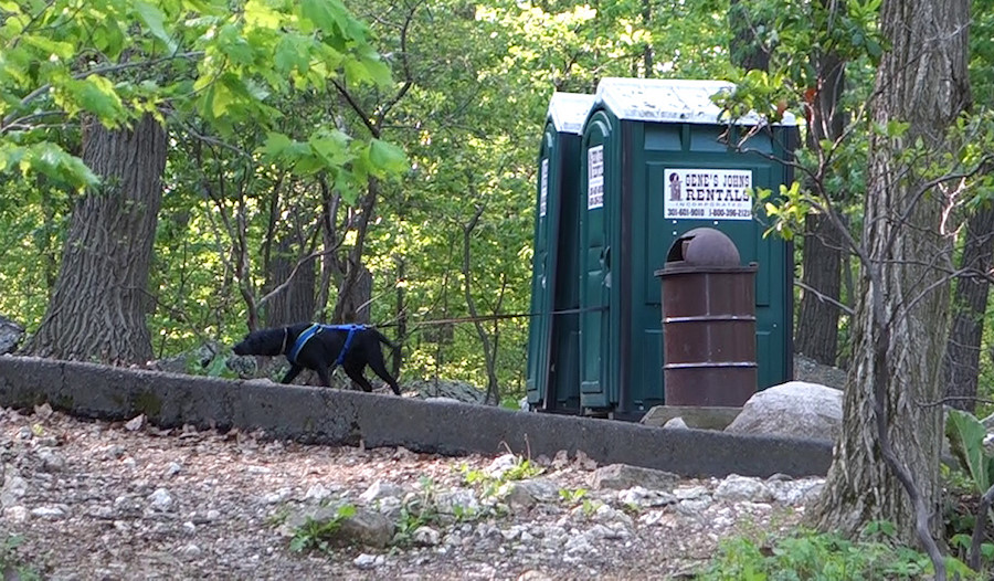 classic porta-potty dog leash fail. Solution: tuck leash through hinge side of door, less leverage.