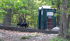 classic porta-potty dog leash fail. Solution: tuck leash through hinge side of door, less leverage.