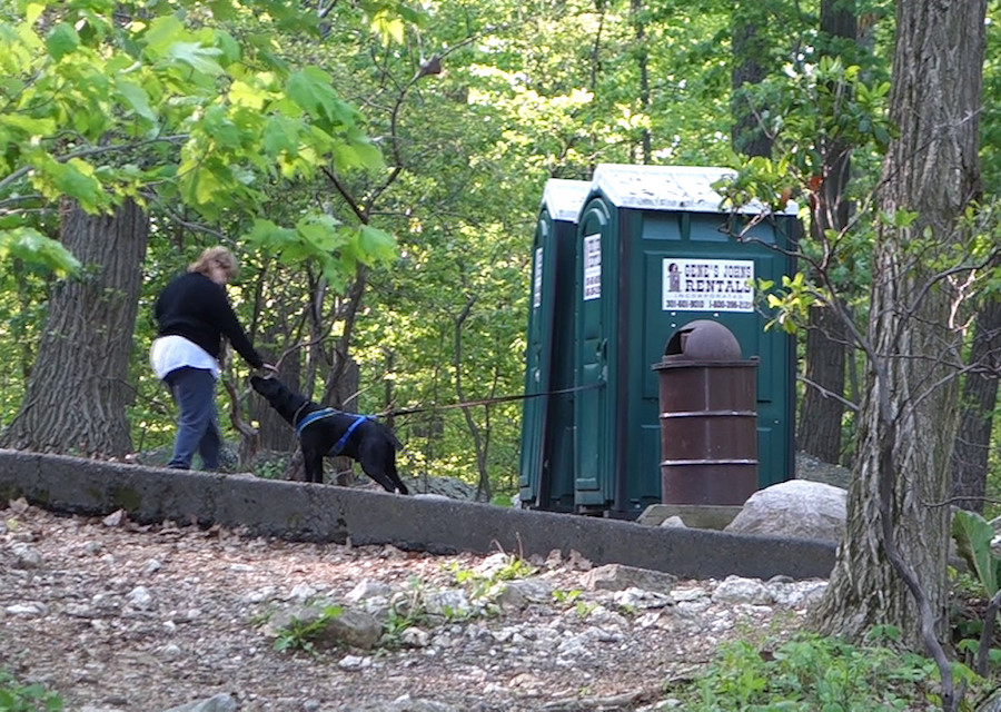 classic porta-potty dog leash fail. Solution: tuck leash through hinge side of door, less leverage.