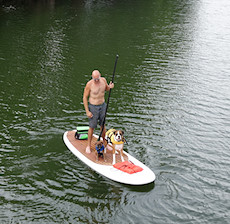 Austinite and his cute dogs wins at stand-up-paddleboarding