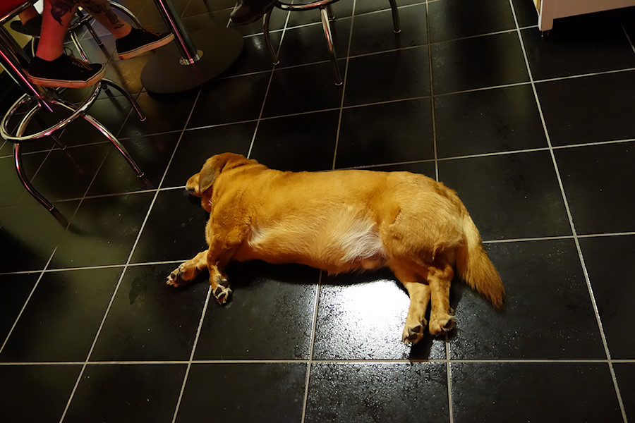 long day for Radar