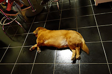long day for Radar