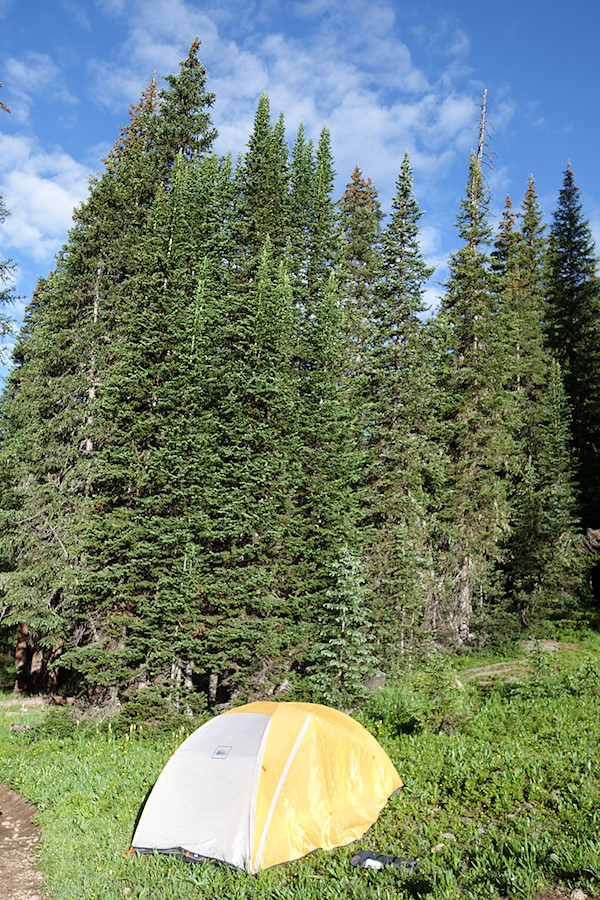 drying the tent out in the sun by the trail before departing