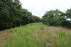 view up the pipeline cut in one of the less steep parts