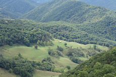 farmland above Seneca Rocks