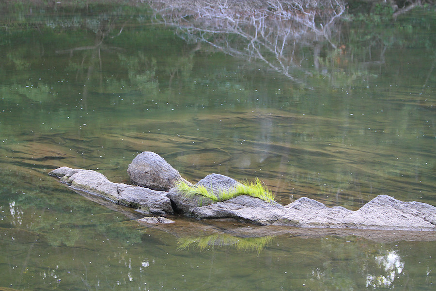 Potomac River