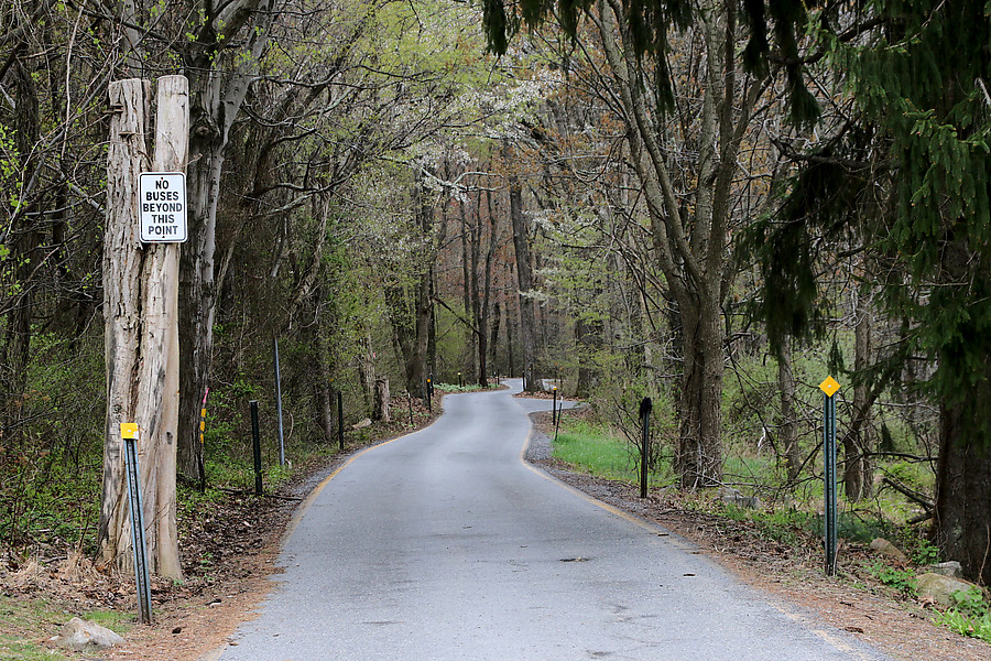 No BUSES Beyond This Point