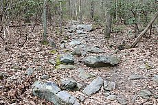 rocky trail