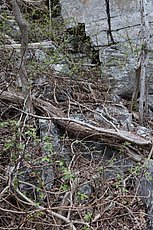 difficult scrambling - vegitation obscures deep holes, loose rocks, and lots of greenbriar