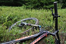 wiped out here, ended up in a blueberry field