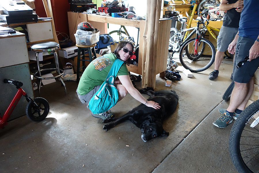 Matt's dog at Mountain Road Cycles in Waimea. Great shop.