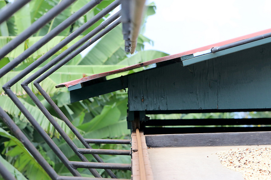 roof to cover coffee during rains
