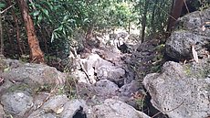 part of a drainage you cross on the gulch trail