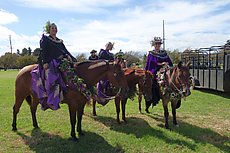 Waimea's Paniolo parade Ho'olaule'a