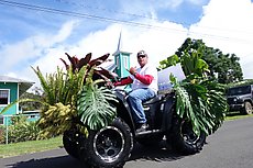 Waimea's Paniolo parade Ho'olaule'a