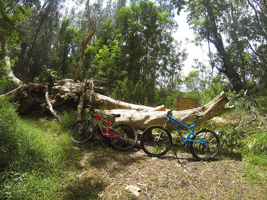DCIM\100GOPRO