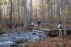 the hike started with a slippery log crossing, as the low water crossing to the ranger booth was closed due to high water