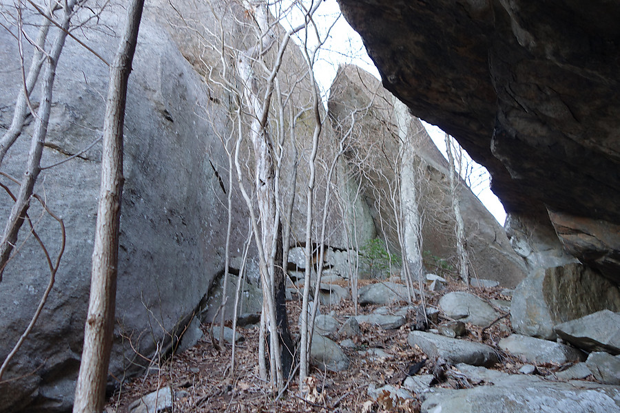 area overview - the aesthetic crack to chimney is furtherest away by the green plant