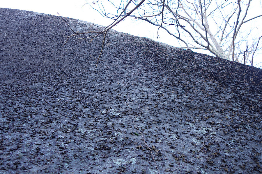 hard-looking old 4-bolt to shuts line that's got a good covering of lichen