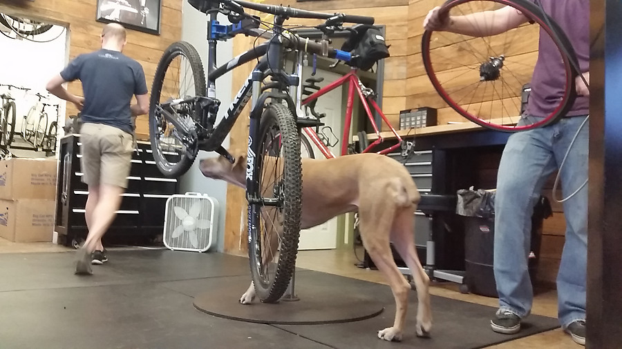 MJ does the post-return inspection on my bike