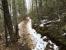 mixed mud/snow/slush down low