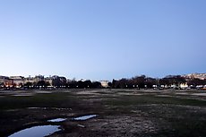 white house