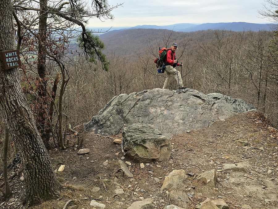 Indy at the overlook on the AT